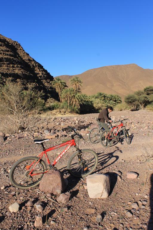 Ecolodge Bab El Oued Maroc Oasis Agdz Exterior photo