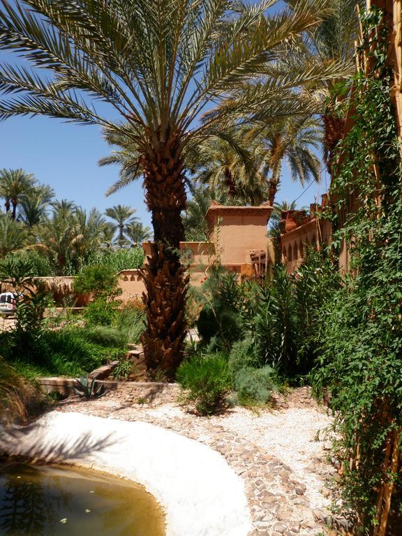 Ecolodge Bab El Oued Maroc Oasis Agdz Exterior photo