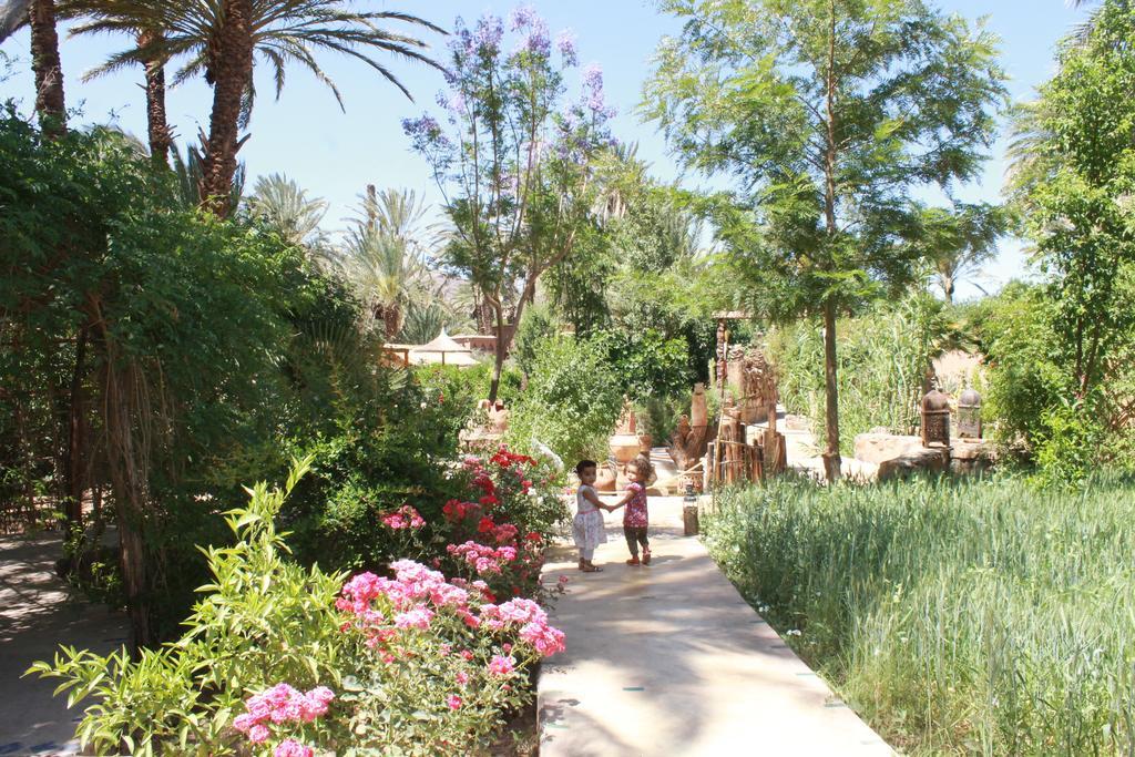 Ecolodge Bab El Oued Maroc Oasis Agdz Exterior photo