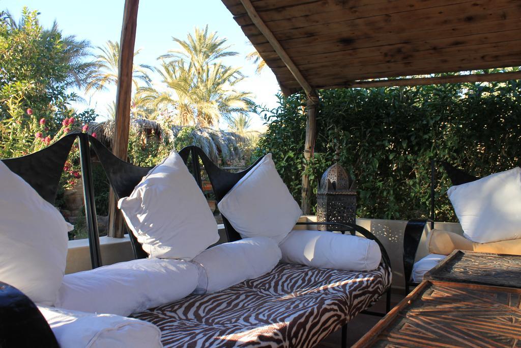 Ecolodge Bab El Oued Maroc Oasis Agdz Exterior photo